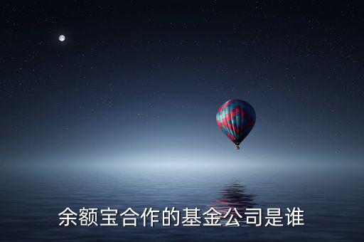 余額寶投資過什么公司，余額寶合作的基金公司是誰