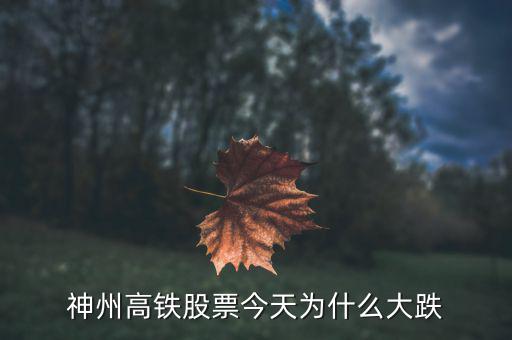 神洲高鐵為什么暴跌，神州高鐵為什么跌31