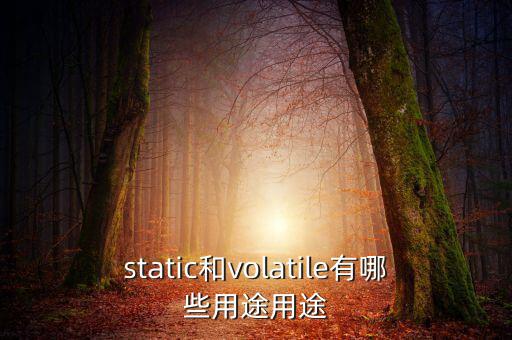 vtm有什么用，static和volatile有哪些用途用途