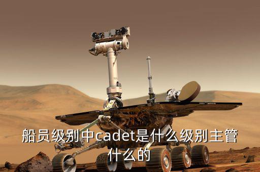 中船總經(jīng)理什么級(jí)別，中國(guó)船舶總公司總經(jīng)理啥級(jí)別