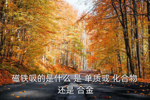 磁鐵吸財(cái)是什么意思，磁鐵吸的是什么 是 單質(zhì)或 化合物 還是 合金