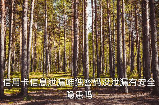 信用卡信息泄露有什么風(fēng)險，信用卡信息泄漏唯獨密碼沒泄漏有安全隱患嗎