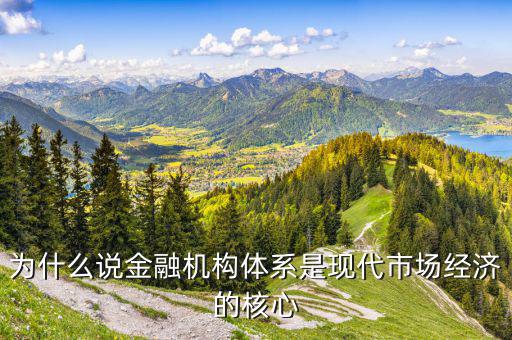 為什么金融是現(xiàn)代經(jīng)濟(jì)的核心，你是如何理解金融是現(xiàn)代經(jīng)濟(jì)的核心這個(gè)論斷的