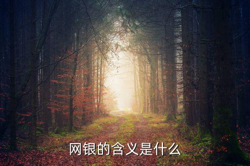 網(wǎng)銀存入代表什么意思，網(wǎng)銀的含義是什么
