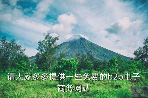 請大家多多提供一些免費的b2b電子商務網(wǎng)站