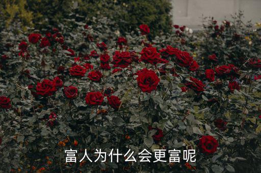 富人為什么越來越富，為什么富人越來越富