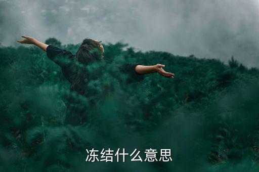 閃電貸凍結(jié)是什么意思，閃電借款什么叫凍結(jié)百分之80的額度意思是信用卡里面額度要多少錢