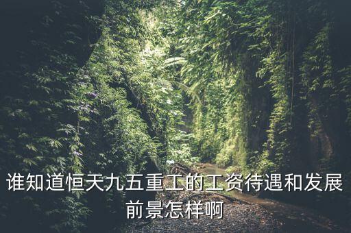 恒天九五什么時候上市，誰知道恒天九五重工的工資待遇和發(fā)展前景怎樣啊