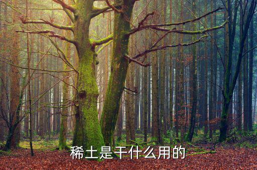 為什么稀土，日本為什么要進口稀土 稀土是什么