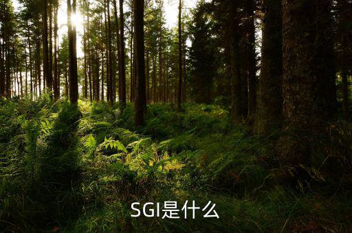 開源證券是什么，SGI是什么