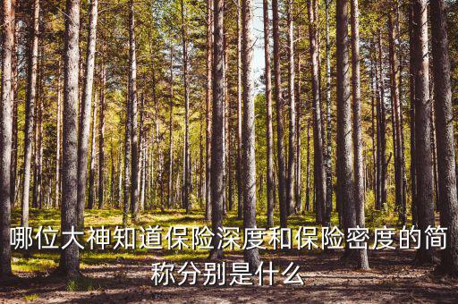 什么叫保險(xiǎn)密度，保險(xiǎn)深度與密度是什么