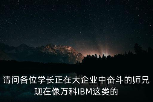 請(qǐng)問各位學(xué)長正在大企業(yè)中奮斗的師兄現(xiàn)在像萬科IBM這類的