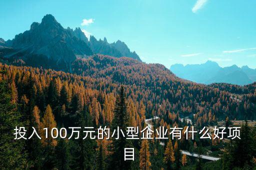 什么企業(yè)愛投資項目，投入100萬元的小型企業(yè)有什么好項目