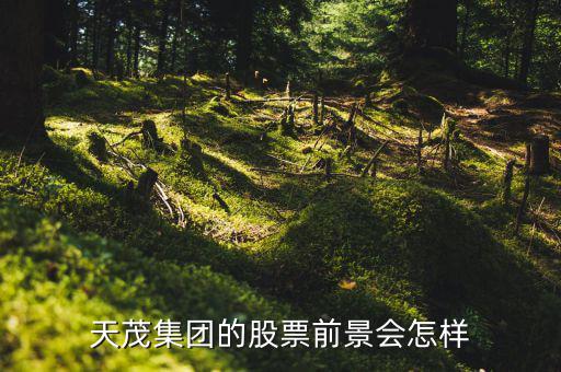 國泰醫(yī)藥什么時(shí)候復(fù)牌，天茂集團(tuán)的股票前景會(huì)怎樣