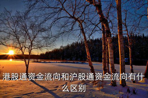 港股通風(fēng)控資金是什么，港股通資金流向和滬股通資金流向有什么區(qū)別