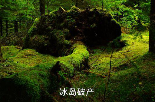 冰島破產(chǎn)是什么，冰島破產(chǎn)一個國家破產(chǎn)是什么意思國家會解體嗎會有什么后果