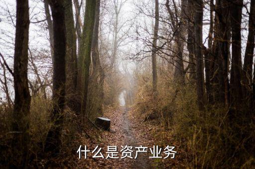 什么是大資產(chǎn)業(yè)務(wù)，商業(yè)銀行三大支柱業(yè)務(wù)是什么