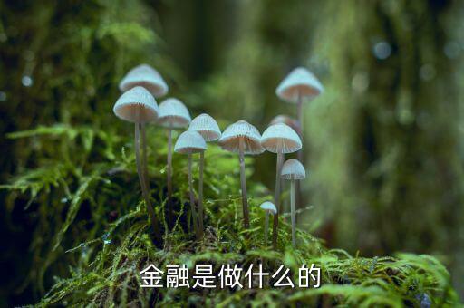 中國29金融是干什么的，金融是干什么的