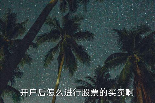 開(kāi)戶后怎么進(jìn)行股票的買(mǎi)賣(mài)啊
