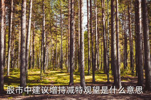 股票建議增持什么意思，股市中建議增持減特觀望是什么意思
