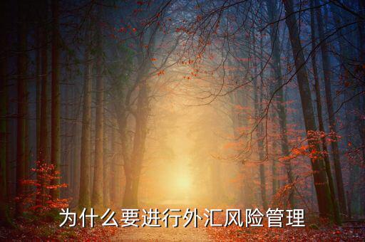 中國為什么實行外匯管制，為什么要加入國家外匯管理局工作