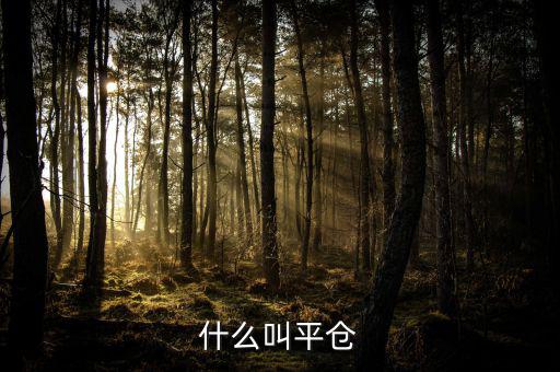 斬倉是什么，什么叫平倉