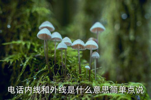 電話(huà)內(nèi)線(xiàn)和外線(xiàn)是什么意思簡(jiǎn)單點(diǎn)說(shuō)