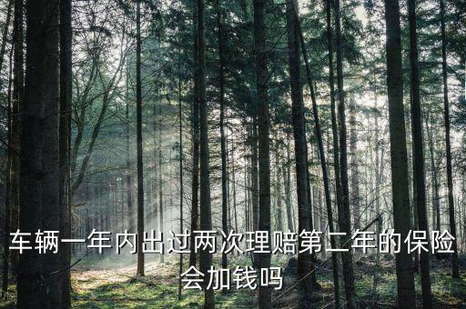 一年中兩次事故理培有什么影響，車輛一年內(nèi)出過兩次理賠第二年的保險(xiǎn)會(huì)加錢嗎
