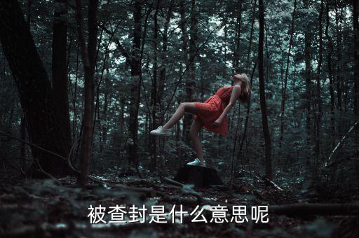 承兌匯票被查封是什么意思，被查封是什么意思呢