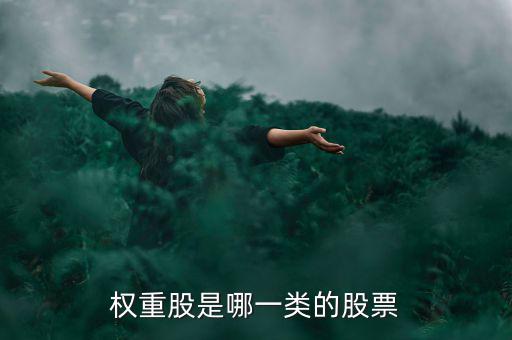 權(quán)重股是什么意思，權(quán)重股是哪一類的股票