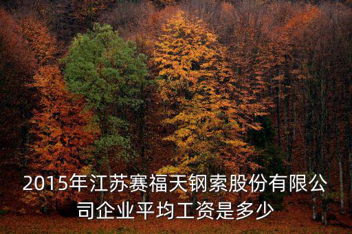 賽福天是什么公司，2015年江蘇賽福天鋼索股份有限公司企業(yè)平均工資是多少
