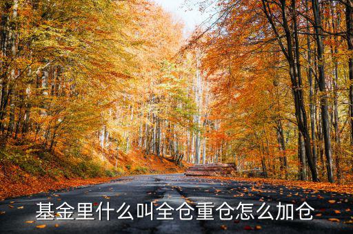 什么是基金加倉(cāng)，基金里什么叫全倉(cāng)重倉(cāng)怎么加倉(cāng)