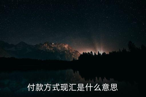 現匯金額是什么意思，招行自動還款中現匯是什么意思
