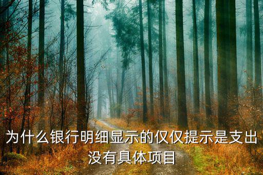 九州證券沒(méi)有什么項(xiàng)目，為什么銀行明細(xì)顯示的僅僅提示是支出沒(méi)有具體項(xiàng)目