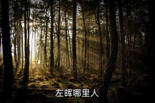 左暉靠什么起家，左暉與左東華什么關系