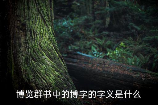 廣博的博是什么意思，廣博的博什么意思