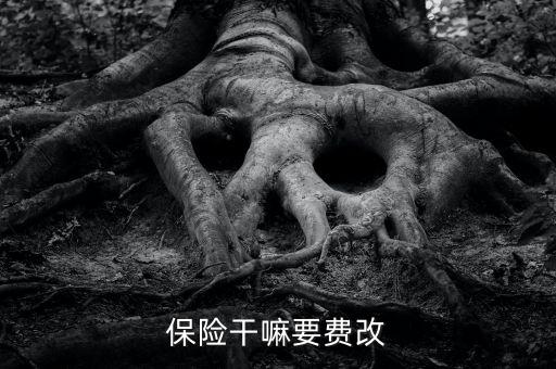 什么是費改產(chǎn)品，移動營業(yè)廳不能由用戶老產(chǎn)品轉(zhuǎn)換成當(dāng)前產(chǎn)品什么意思