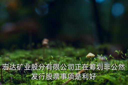 宏達礦業(yè)什么重大事項，請教600687停盤說是因為核實公司相關重大事項這個重大事項有知