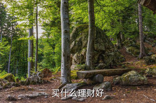 買什么理財產(chǎn)品，買什么理財好