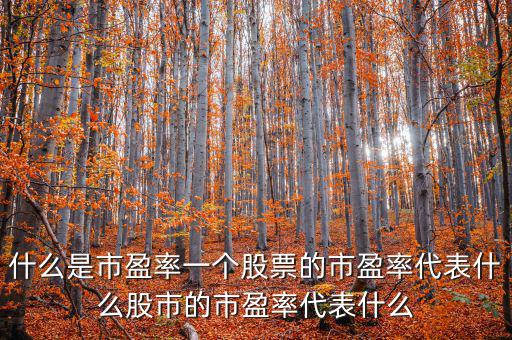 平均市盈率說明什么，什么是市盈率一個股票的市盈率代表什么股市的市盈率代表什么