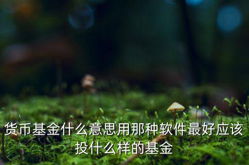 貨幣基金t什么意思，貨幣基金贖回時(shí)間T3是什么意思