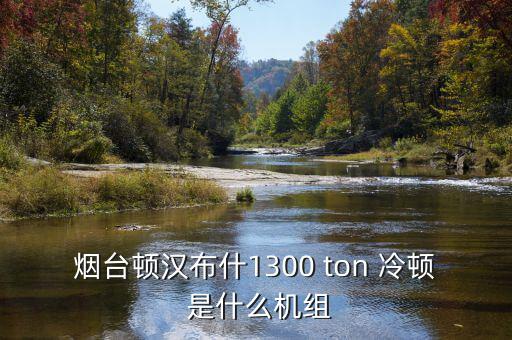 美國頓漢布什冰機什么用處，頓漢布什怎么樣