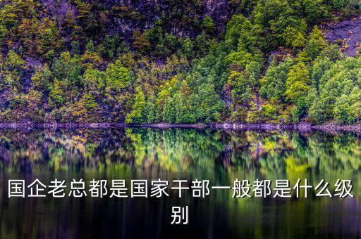 中交地產(chǎn)總經(jīng)理屬于什么級(jí)別干部，國(guó)企老總都是國(guó)家干部一般都是什么級(jí)別