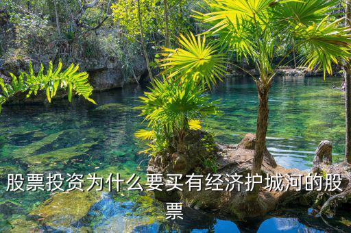 什么是股票投資的護城河理論，從基本面看證券投資的護城河是指哪幾類情況