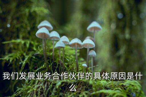 為什么要發(fā)展同業(yè)業(yè)務(wù)，匯付天下之前說要大力發(fā)展同業(yè)業(yè)務(wù)同業(yè)業(yè)務(wù)指的是甚么
