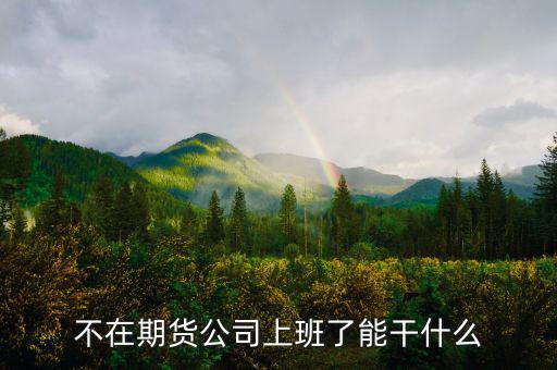去期貨公司能做什么，本人去某期貨公司總部適合做什么