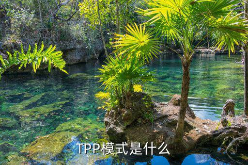 tpp什么時候生效，TPP文件時什么東西