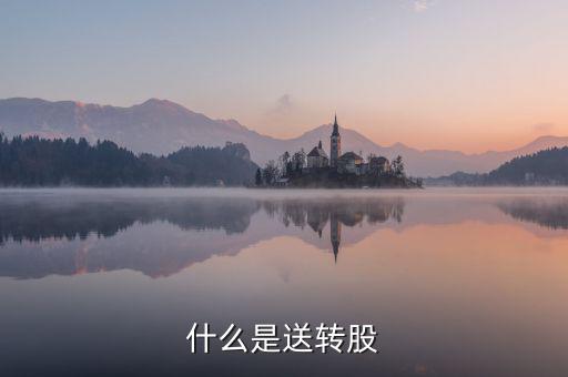 什么叫送股，什么是送轉(zhuǎn)股