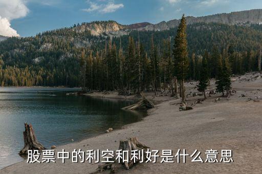股票中的利空是什么意思，什么是股市利空