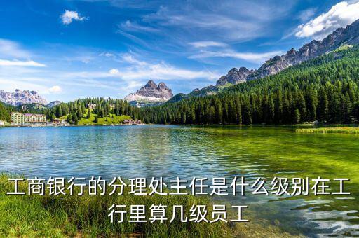 銀行分理處值班經(jīng)理是什么職位，工商銀行的分理處主任是什么級別在工行里算幾級員工